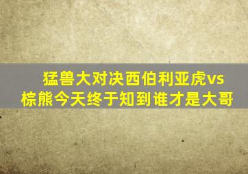 猛兽大对决西伯利亚虎vs棕熊今天终于知到谁才是大哥