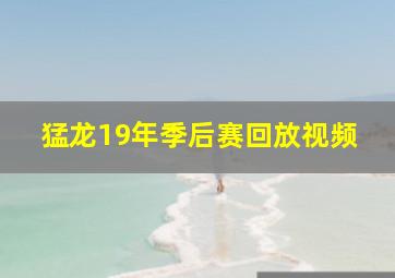 猛龙19年季后赛回放视频