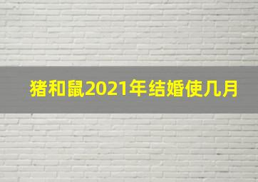 猪和鼠2021年结婚使几月