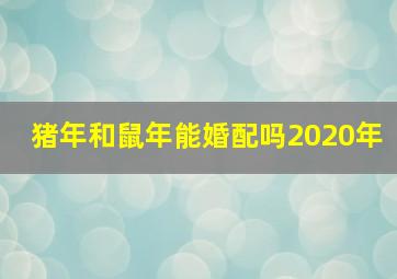 猪年和鼠年能婚配吗2020年