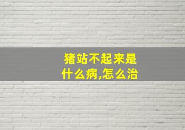 猪站不起来是什么病,怎么治