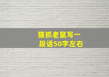 猫抓老鼠写一段话50字左右