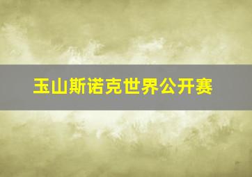 玉山斯诺克世界公开赛