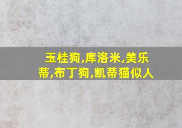 玉桂狗,库洛米,美乐蒂,布丁狗,凯蒂猫似人