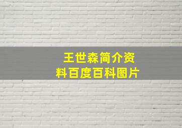 王世森简介资料百度百科图片