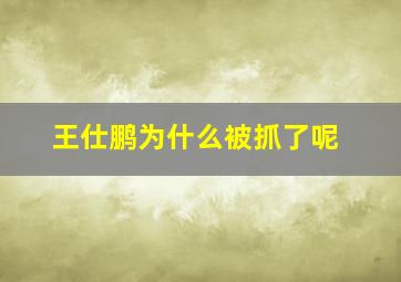 王仕鹏为什么被抓了呢