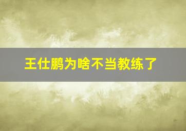 王仕鹏为啥不当教练了