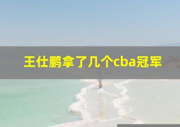 王仕鹏拿了几个cba冠军