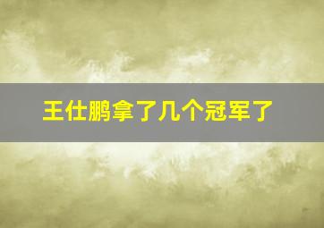 王仕鹏拿了几个冠军了