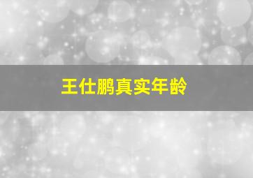 王仕鹏真实年龄