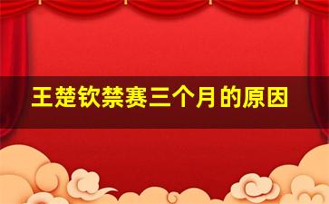 王楚钦禁赛三个月的原因