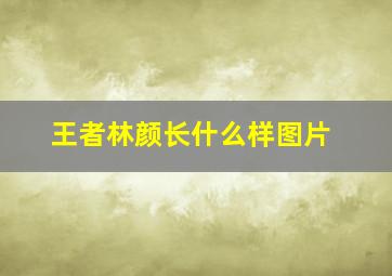 王者林颜长什么样图片