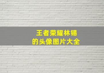 王者荣耀林锡的头像图片大全