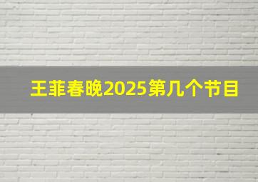 王菲春晚2025第几个节目