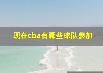 现在cba有哪些球队参加