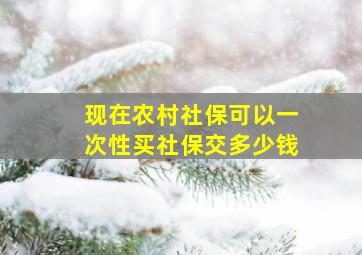 现在农村社保可以一次性买社保交多少钱