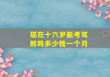 现在十六岁能考驾照吗多少钱一个月