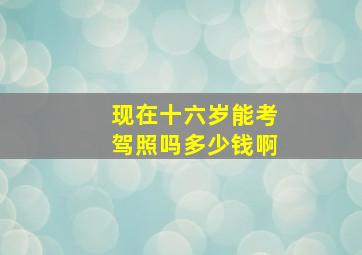 现在十六岁能考驾照吗多少钱啊