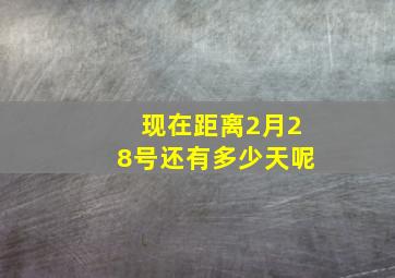 现在距离2月28号还有多少天呢