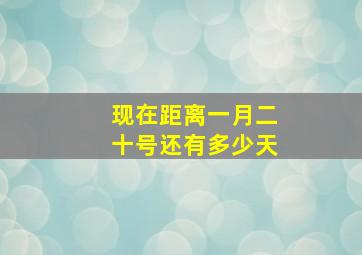 现在距离一月二十号还有多少天