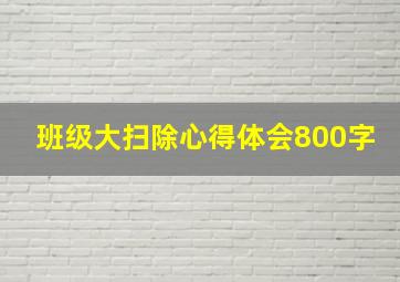 班级大扫除心得体会800字