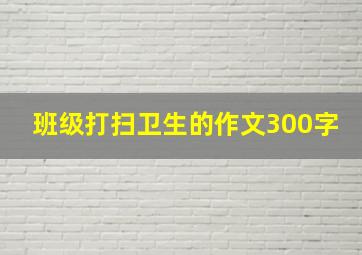 班级打扫卫生的作文300字