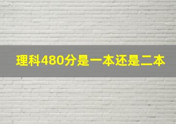 理科480分是一本还是二本