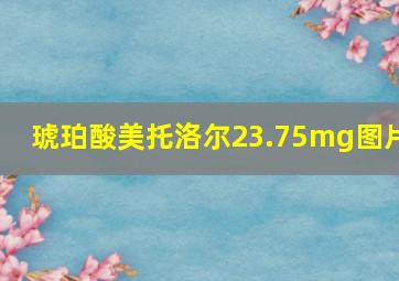 琥珀酸美托洛尔23.75mg图片