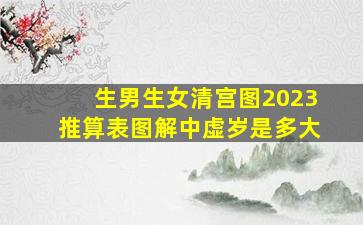 生男生女清宫图2023推算表图解中虚岁是多大