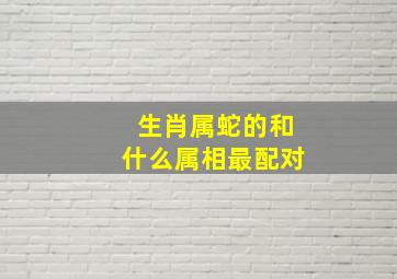 生肖属蛇的和什么属相最配对