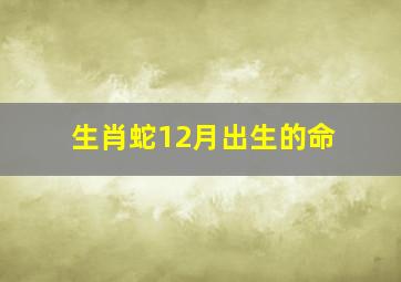 生肖蛇12月出生的命