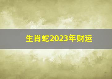 生肖蛇2023年财运