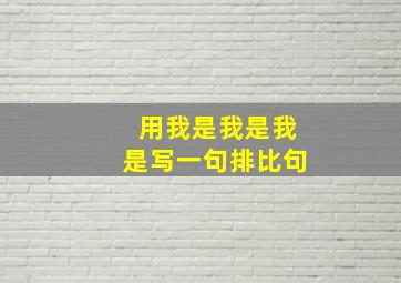 用我是我是我是写一句排比句