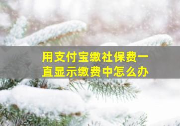 用支付宝缴社保费一直显示缴费中怎么办