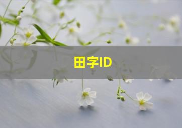 田字ID