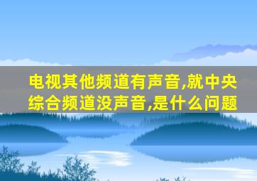 电视其他频道有声音,就中央综合频道没声音,是什么问题