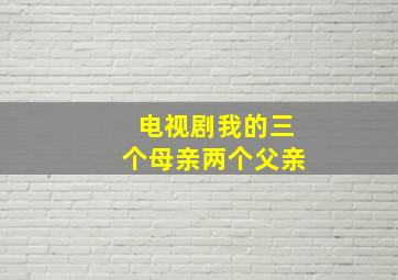 电视剧我的三个母亲两个父亲