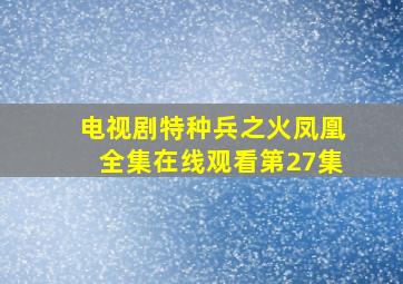 电视剧特种兵之火凤凰全集在线观看第27集