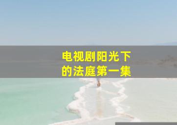 电视剧阳光下的法庭第一集