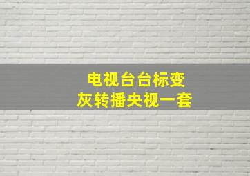 电视台台标变灰转播央视一套