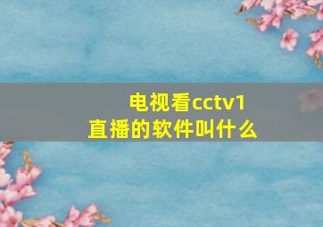 电视看cctv1直播的软件叫什么