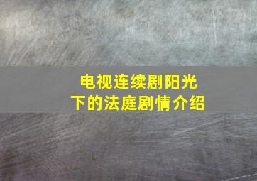 电视连续剧阳光下的法庭剧情介绍