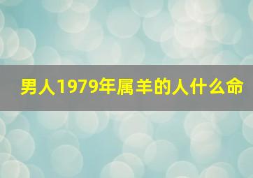 男人1979年属羊的人什么命