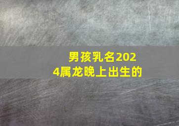 男孩乳名2024属龙晚上出生的