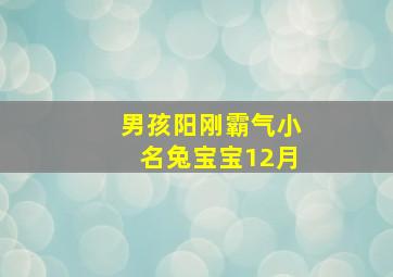 男孩阳刚霸气小名兔宝宝12月