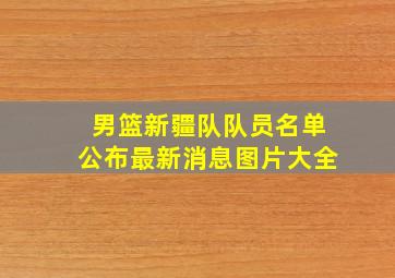 男篮新疆队队员名单公布最新消息图片大全