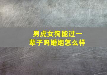 男虎女狗能过一辈子吗婚姻怎么样