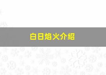 白日焰火介绍