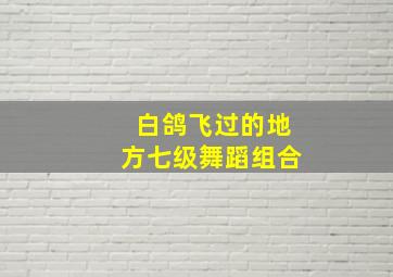 白鸽飞过的地方七级舞蹈组合