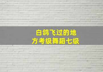 白鸽飞过的地方考级舞蹈七级